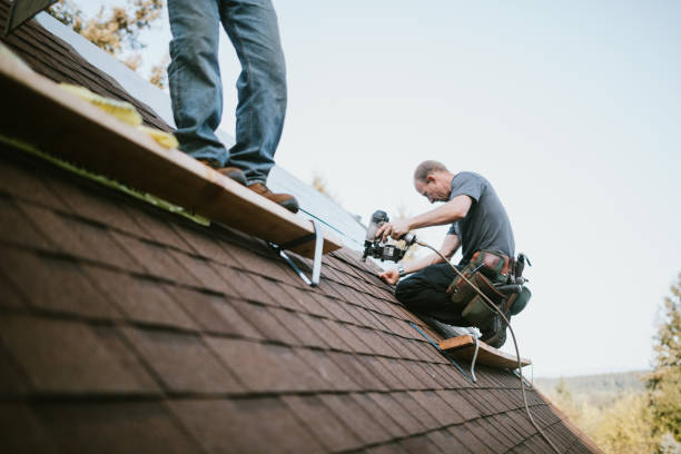 Best Metal Roofing Contractor  in Iowa City, IA